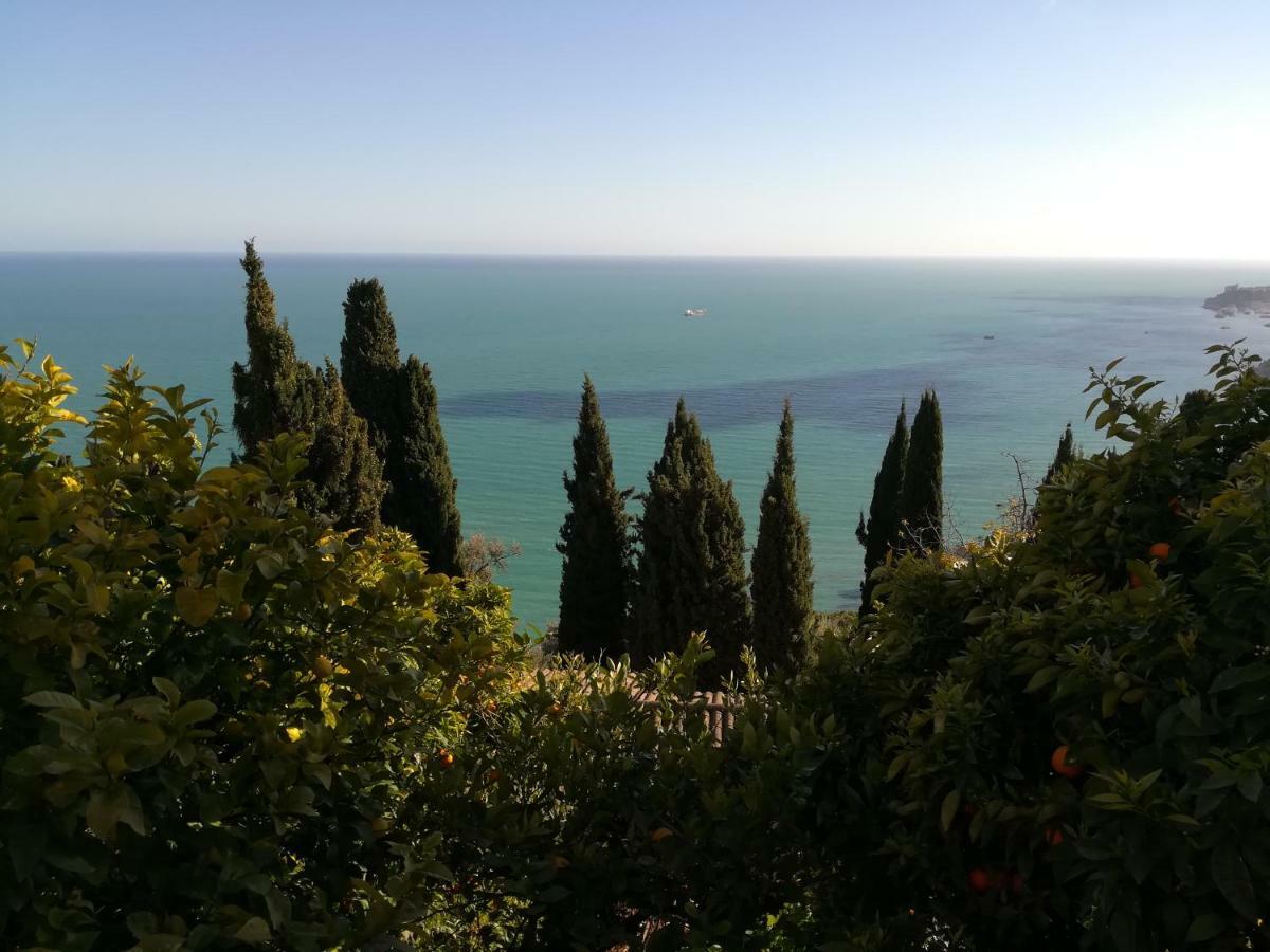 Monaco'S Cottage & Spa 로퀴에브륀캡마르탱 외부 사진