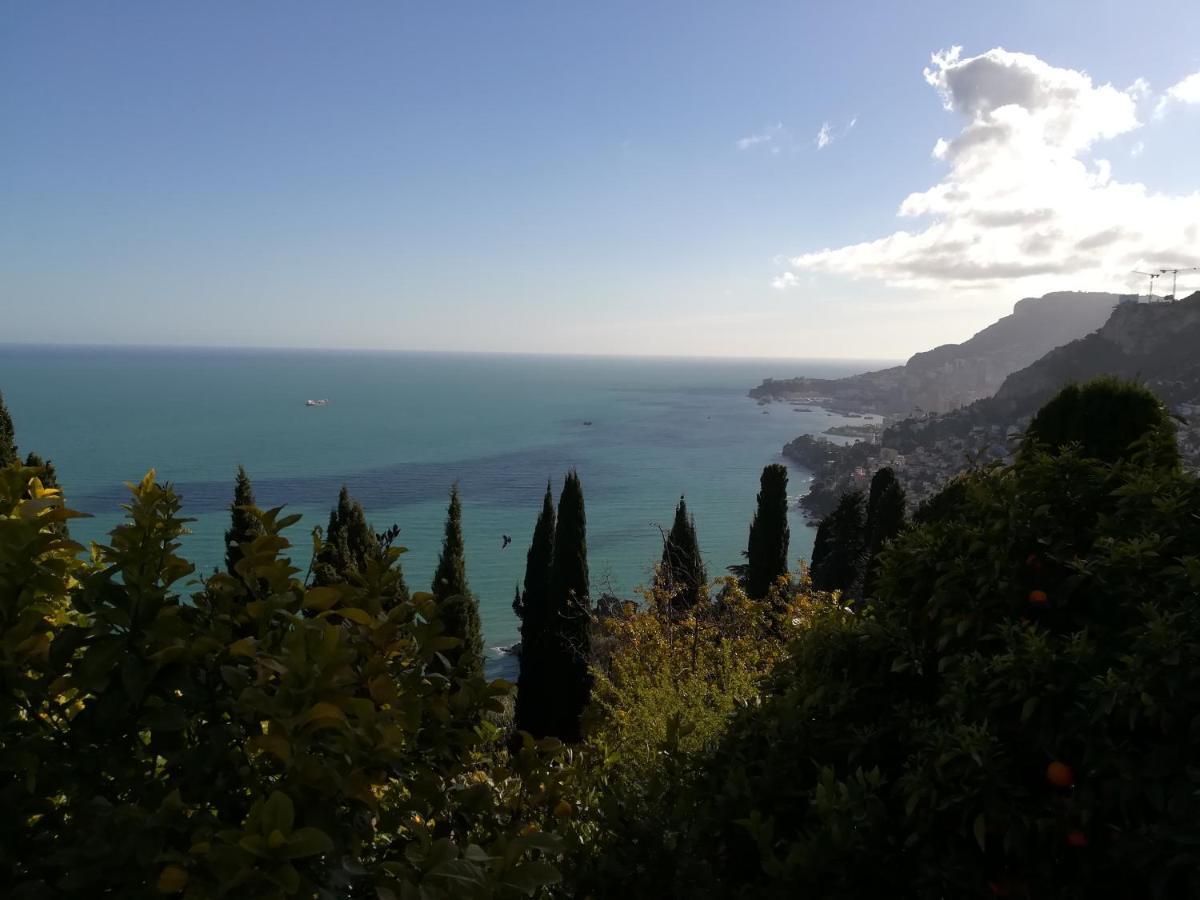 Monaco'S Cottage & Spa 로퀴에브륀캡마르탱 외부 사진